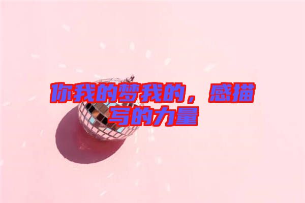 你我的夢我的，感描寫的力量