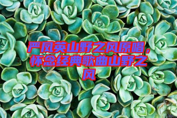 嚴(yán)鳳英山野之風(fēng)原唱，懷念經(jīng)典歌曲山野之風(fēng)