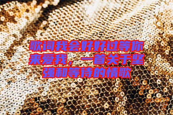歌詞我會(huì)好好過等你來愛我，一首關(guān)于堅(jiān)強(qiáng)和等待的情歌
