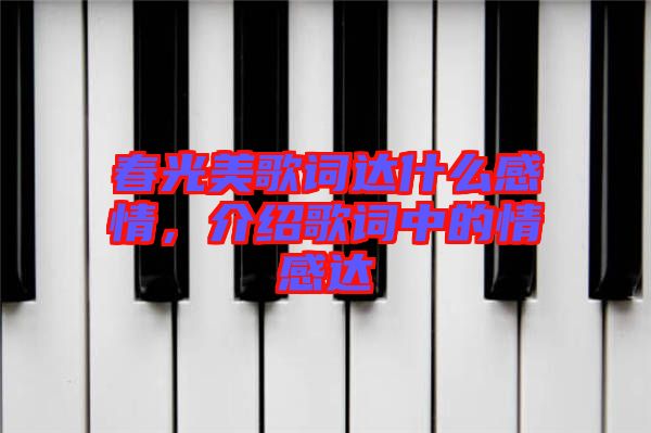 春光美歌詞達(dá)什么感情，介紹歌詞中的情感達(dá)