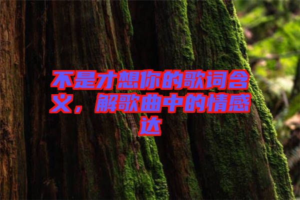不是才想你的歌詞含義，解歌曲中的情感達(dá)