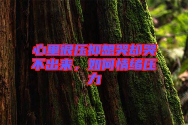 心里很壓抑想哭卻哭不出來，如何情緒壓力