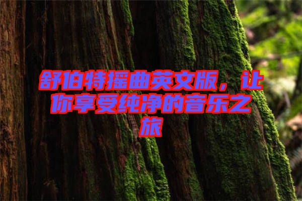 舒伯特搖曲英文版，讓你享受純凈的音樂之旅