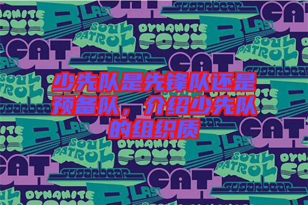 少先隊是先鋒隊還是預(yù)備隊，介紹少先隊的組織質(zhì)