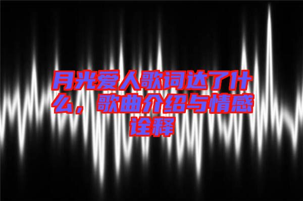月光愛人歌詞達(dá)了什么，歌曲介紹與情感詮釋