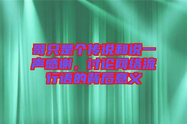 哥只是個傳說和說一聲感謝，討論網(wǎng)絡流行語的背后意義