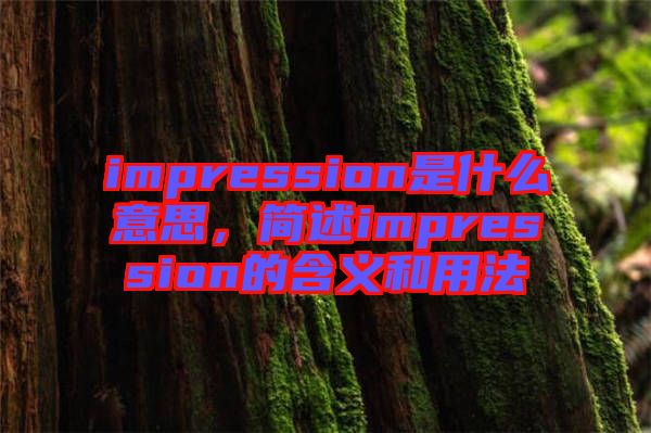 impression是什么意思，簡(jiǎn)述impression的含義和用法