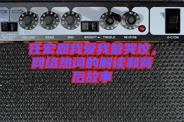任宏恩我愛我爹哭墳，網(wǎng)絡熱詞的解讀和背后故事