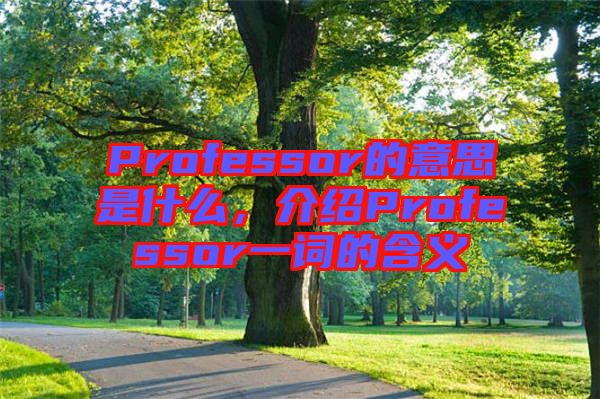 Professor的意思是什么，介紹Professor一詞的含義