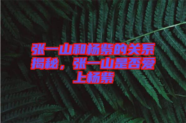 張一山和楊紫的關系揭秘，張一山是否愛上楊紫