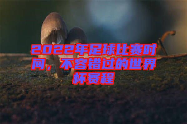 2022年足球比賽時(shí)間，不容錯(cuò)過的世界杯賽程