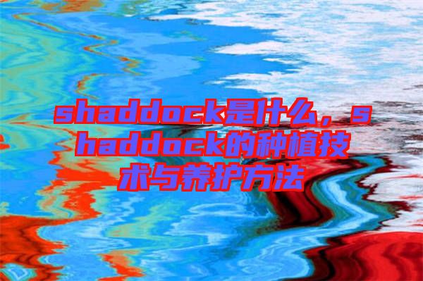 shaddock是什么，shaddock的種植技術(shù)與養(yǎng)護(hù)方法