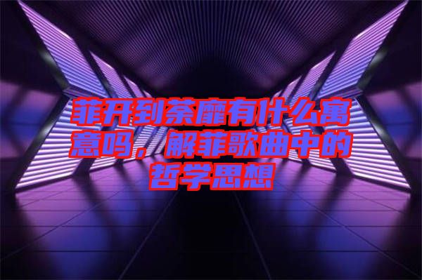 菲開到荼靡有什么寓意嗎，解菲歌曲中的哲學思想
