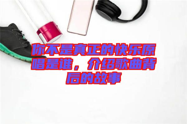 你不是真正的快樂原唱是誰，介紹歌曲背后的故事