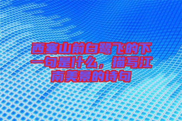 西塞山前白鷺飛的下一句是什么，描寫江南美景的詩句