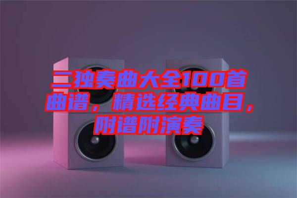 二獨(dú)奏曲大全100首曲譜，精選經(jīng)典曲目，附譜附演奏