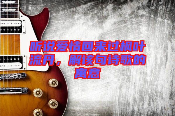 聽說愛情回來過楓葉流丹，解該句詩歌的寓意