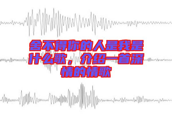 舍不得你的人是我是什么歌，介紹一首深情的情歌