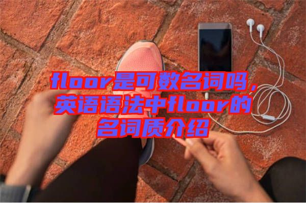 floor是可數(shù)名詞嗎，英語語法中floor的名詞質(zhì)介紹
