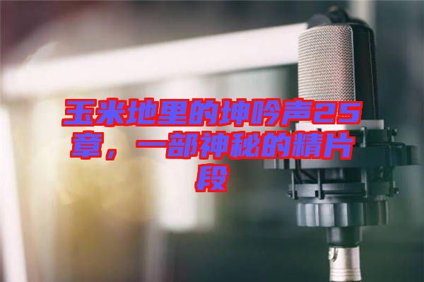 玉米地里的坤吟聲25章，一部神秘的精片段