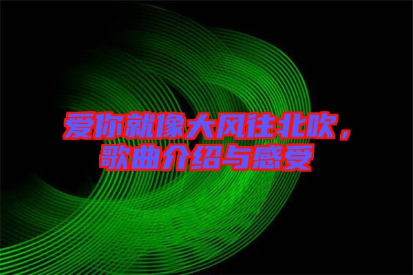 愛你就像大風(fēng)往北吹，歌曲介紹與感受