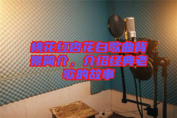 桃花紅杏花白歌曲背景簡(jiǎn)介，介紹經(jīng)典老歌的故事