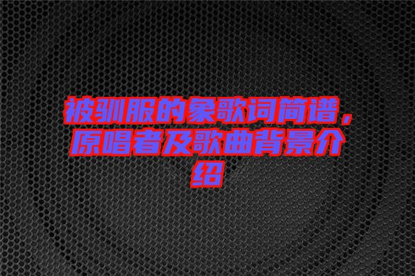 被馴服的象歌詞簡譜，原唱者及歌曲背景介紹