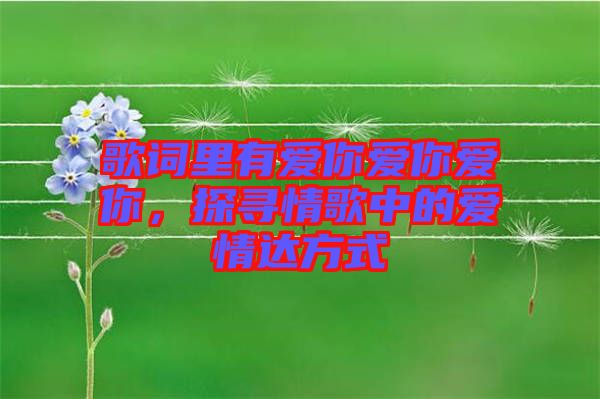 歌詞里有愛(ài)你愛(ài)你愛(ài)你，探尋情歌中的愛(ài)情達(dá)方式