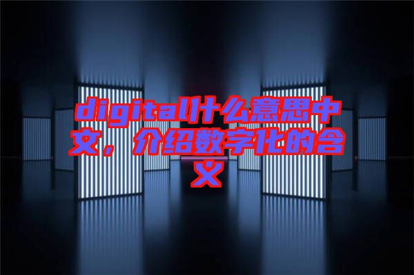 digital什么意思中文，介紹數(shù)字化的含義