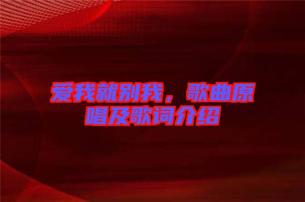 愛我就別我，歌曲原唱及歌詞介紹