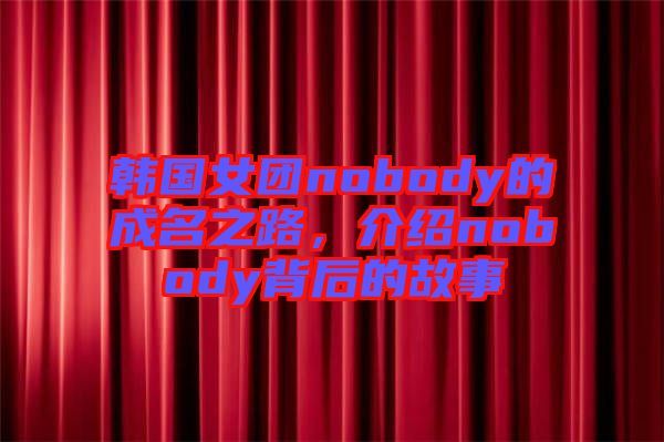 韓國(guó)女團(tuán)nobody的成名之路，介紹nobody背后的故事