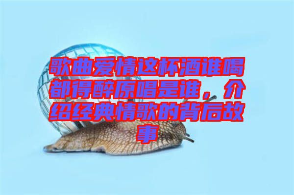 歌曲愛情這杯酒誰(shuí)喝都得醉原唱是誰(shuí)，介紹經(jīng)典情歌的背后故事