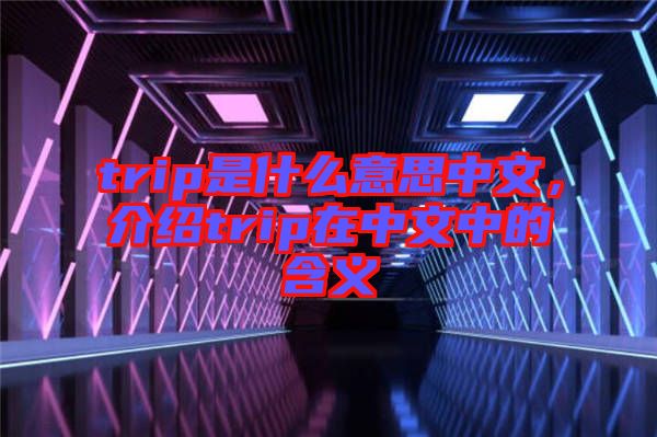 trip是什么意思中文，介紹trip在中文中的含義
