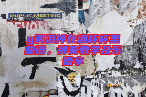 g調(diào)淚掉在酒杯杯里曲譜，彈奏教學(xué)及樂譜享