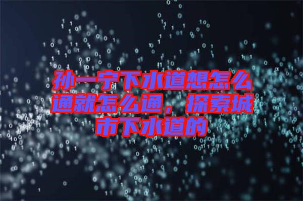 孫一寧下水道想怎么通就怎么通，探索城市下水道的