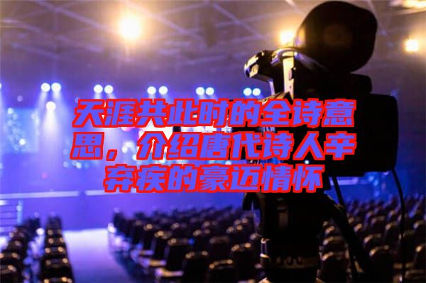 天涯共此時的全詩意思，介紹唐代詩人辛棄疾的豪邁情懷