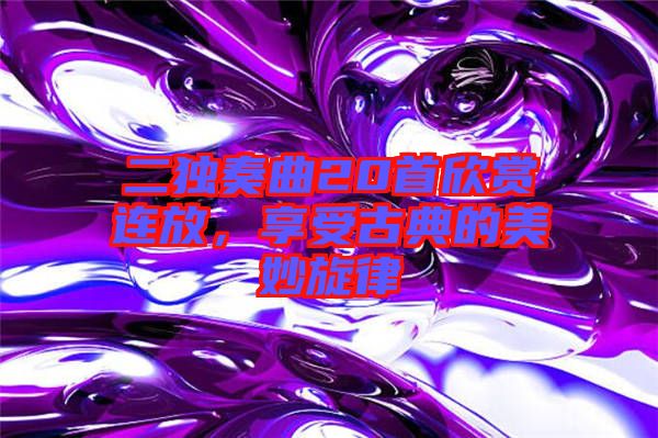二獨(dú)奏曲20首欣賞連放，享受古典的美妙旋律