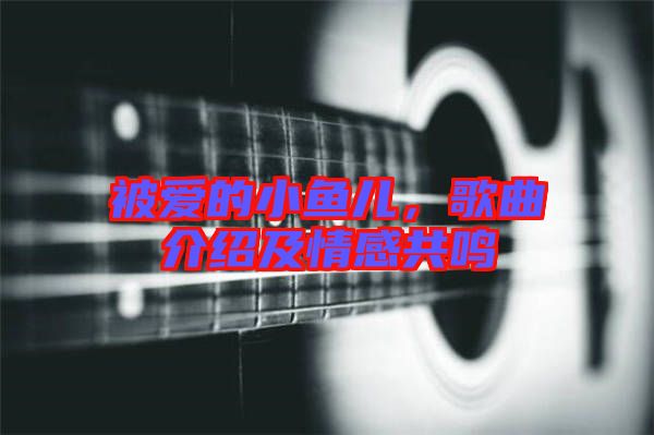 被愛(ài)的小魚(yú)兒，歌曲介紹及情感共鳴