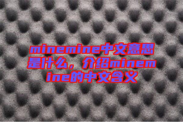 minemine中文意思是什么，介紹minemine的中文含義