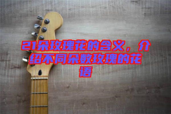 21朵玫瑰花的含義，介紹不同朵數(shù)玫瑰的花語