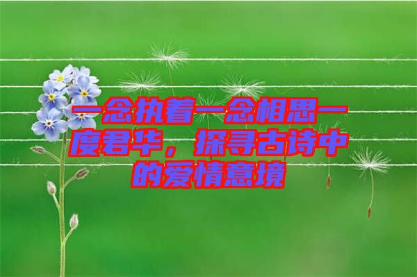 一念執(zhí)著一念相思一度君華，探尋古詩(shī)中的愛(ài)情意境