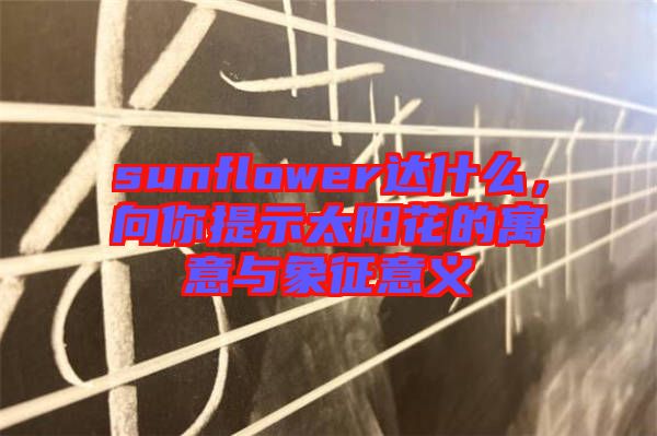 sunflower達什么，向你提示太陽花的寓意與象征意義