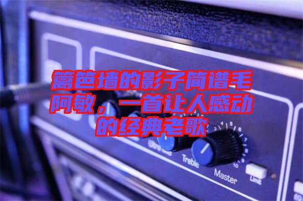籬笆墻的影子簡譜毛阿敏，一首讓人感動(dòng)的經(jīng)典老歌
