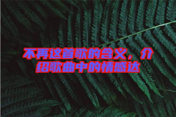 不再這首歌的含義，介紹歌曲中的情感達