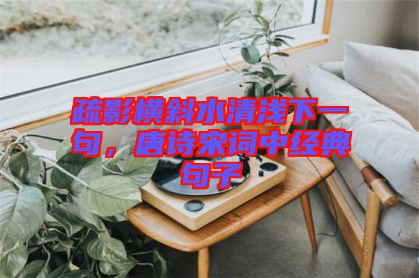 疏影橫斜水清淺下一句，唐詩(shī)宋詞中經(jīng)典句子