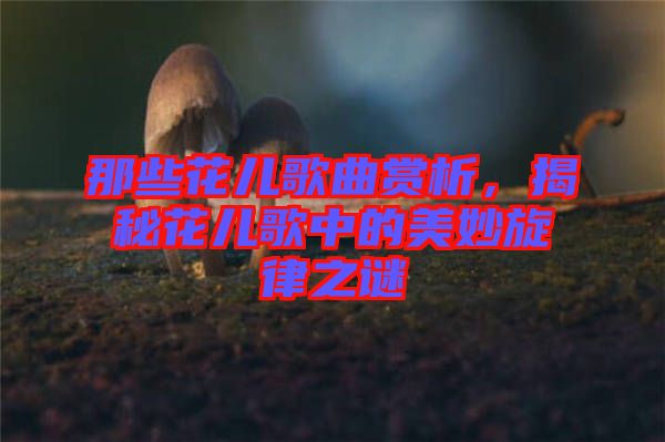 那些花兒歌曲賞析，揭秘花兒歌中的美妙旋律之謎