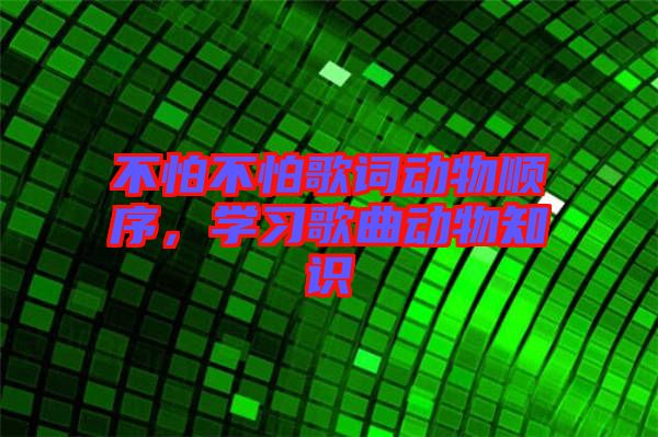 不怕不怕歌詞動(dòng)物順序，學(xué)習(xí)歌曲動(dòng)物知識(shí)