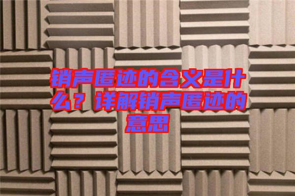 銷聲匿跡的含義是什么？詳解銷聲匿跡的意思