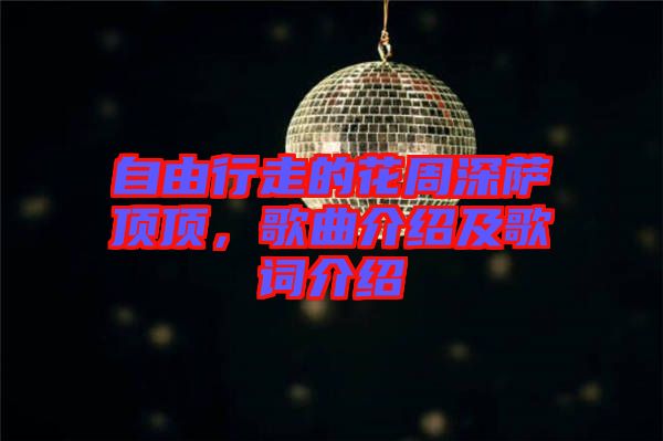 自由行走的花周深薩頂頂，歌曲介紹及歌詞介紹