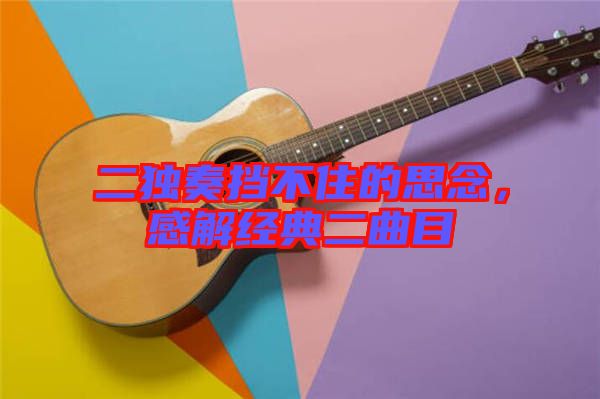 二獨奏擋不住的思念，感解經典二曲目